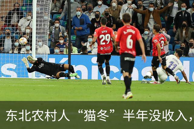 东北农村人“猫冬”半年没收入，一大家子人怎么撑下来的？