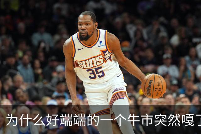为什么好端端的一个牛市突然嘎了？走成这样子？