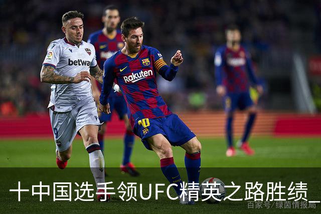 十中国选手领UFC精英之路胜绩 王聪获UFC合同