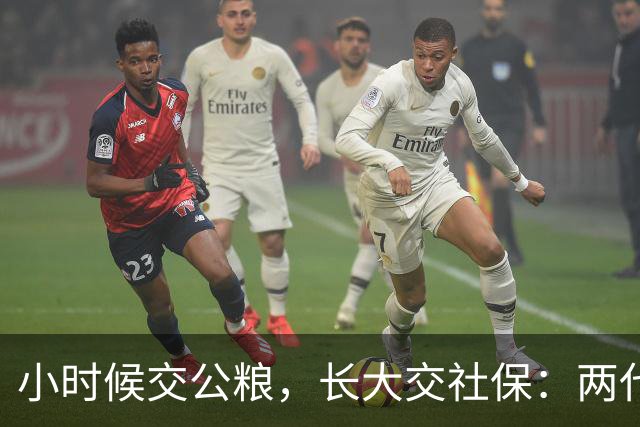 小时候交公粮，长大交社保：两代人的账，其实是一本账