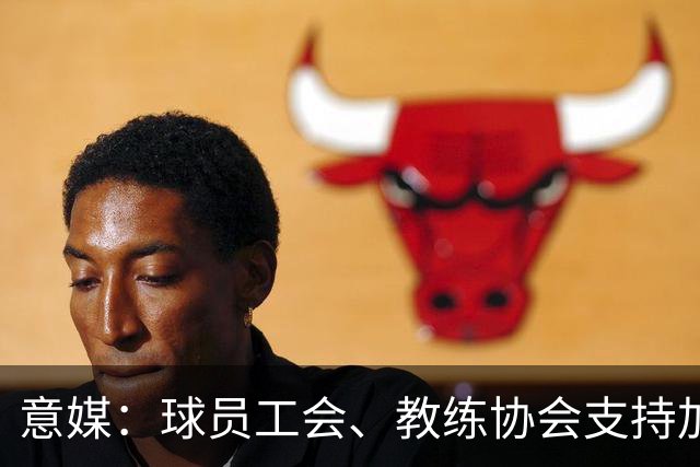 意媒：球员工会、教练协会支持加利亚尼竞选足协主席