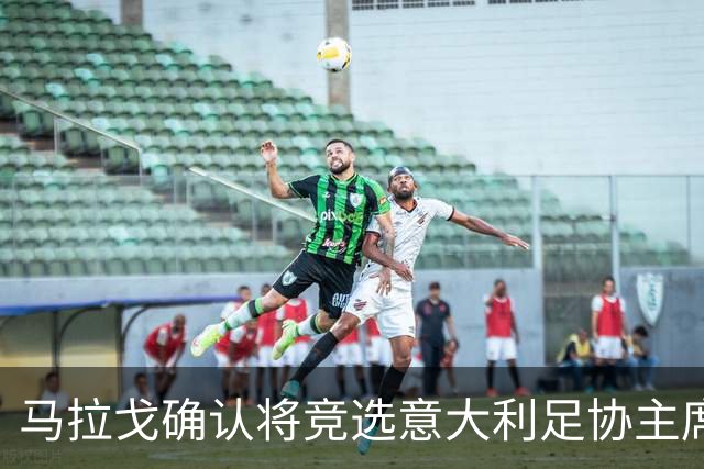 马拉戈确认将竞选意大利足协主席：需遵循程序并获得足够支持