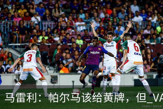马雷利：帕尔马该给黄牌，但 VAR 不介入并无问题