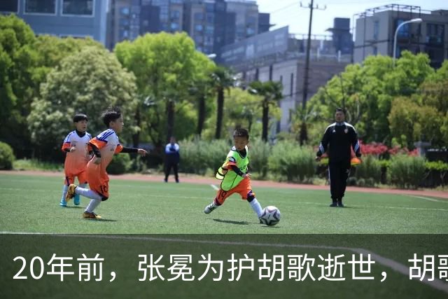 20年前，张冕为护胡歌逝世，胡歌许诺赡养其父母，如今他做到了吗